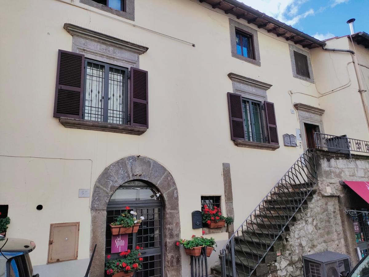 Francigena Viterbo Apartment Con Parcheggio Gratuito A Soli 2 Minuti Dış mekan fotoğraf